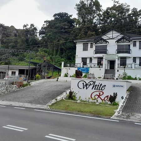 White Rose Cameron Highlands Esterno foto