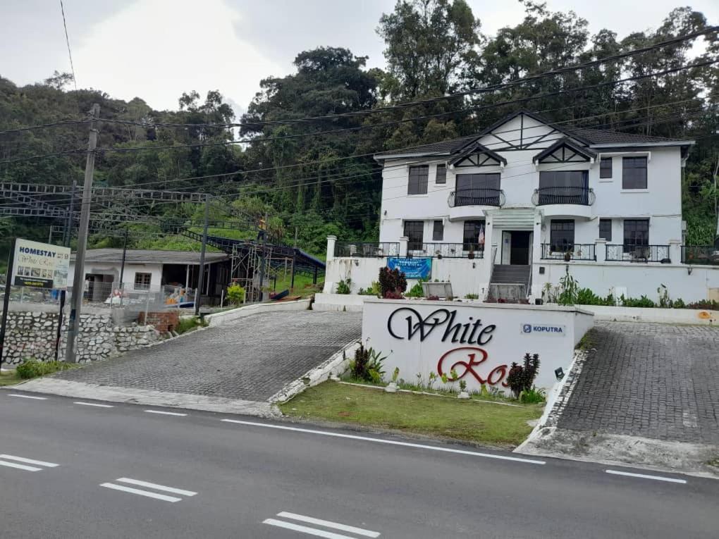 White Rose Cameron Highlands Esterno foto