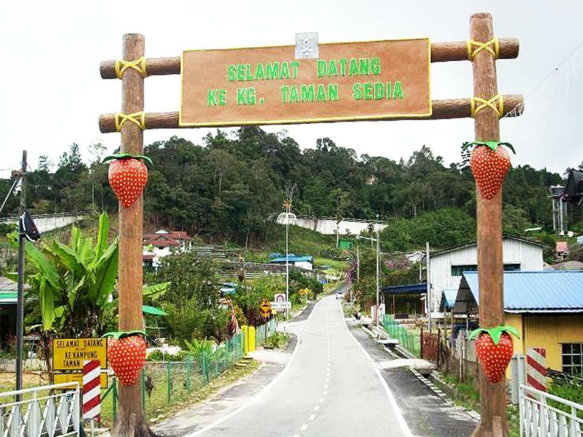 White Rose Cameron Highlands Esterno foto